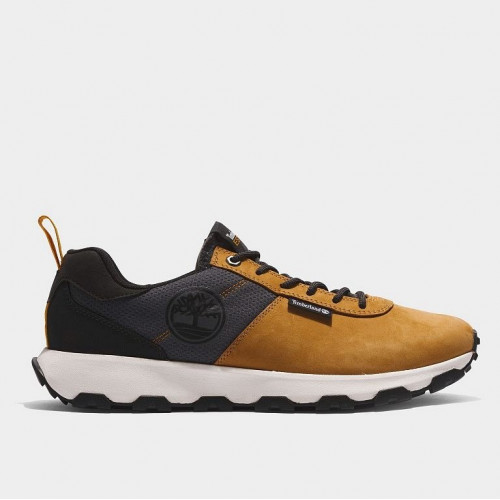 Timberland Winsor Trail Low