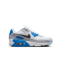 Nike Air Max 90 LTR